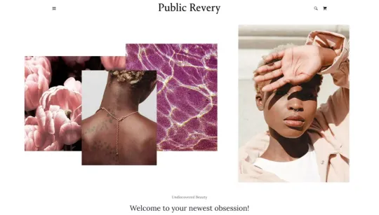 Public Revery website template preview