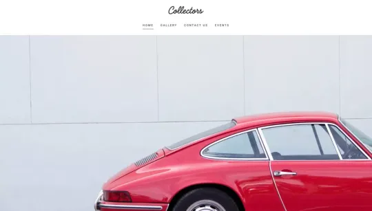 Collectors website template preview