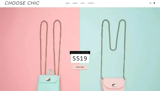 Choose Chic website template preview