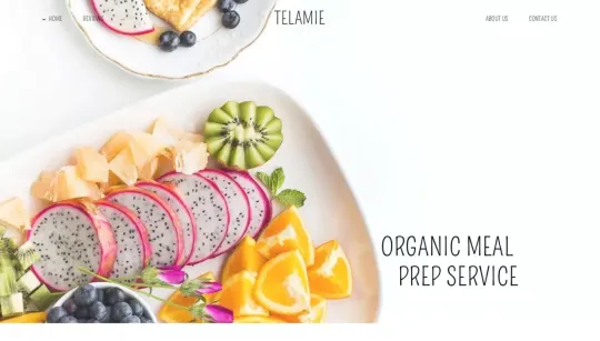Telamie website template preview