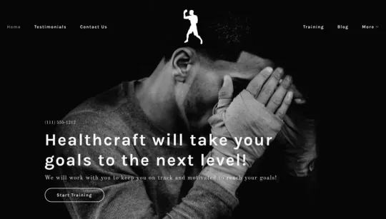 Healthcraft website template preview