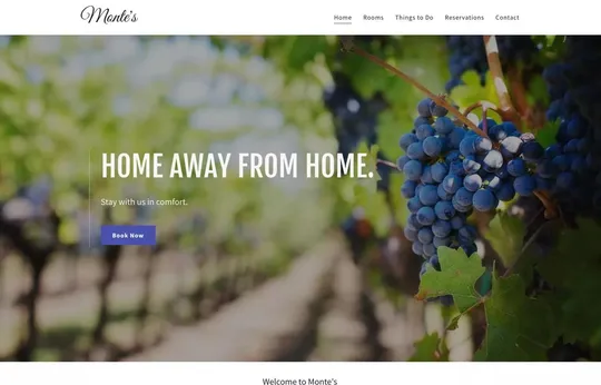 Monte's website template preview