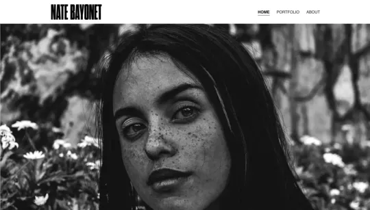 Nate Bayonet website template preview