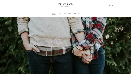 Flint & Co website template preview
