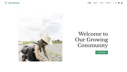 Jeri Braton website template preview