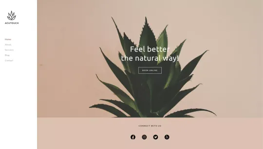 AcuTouch website template preview
