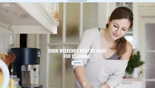ABC Cleaning website template preview