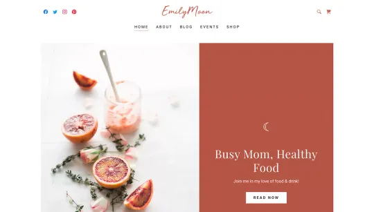 Emily Moon website template preview