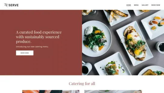 Serve website template preview