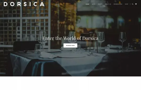 Dorsica website template preview