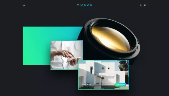 Tigmon website template preview