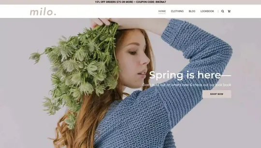 Milo website template preview