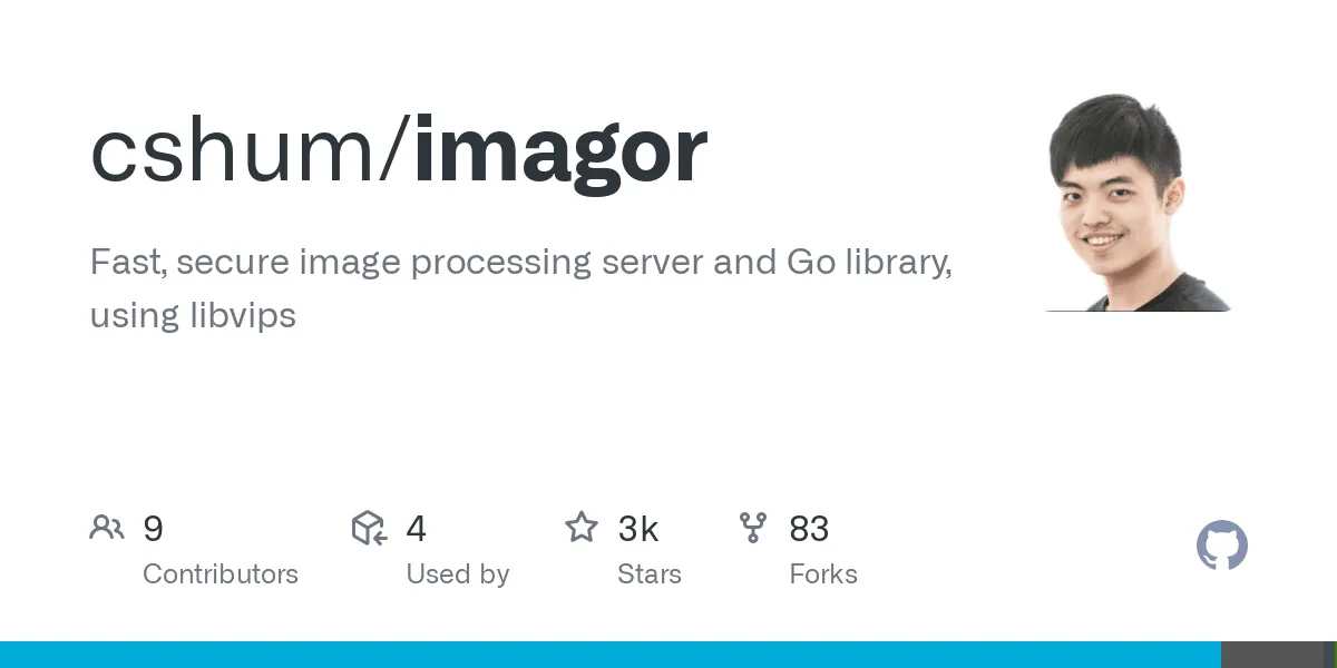 Imagor interface