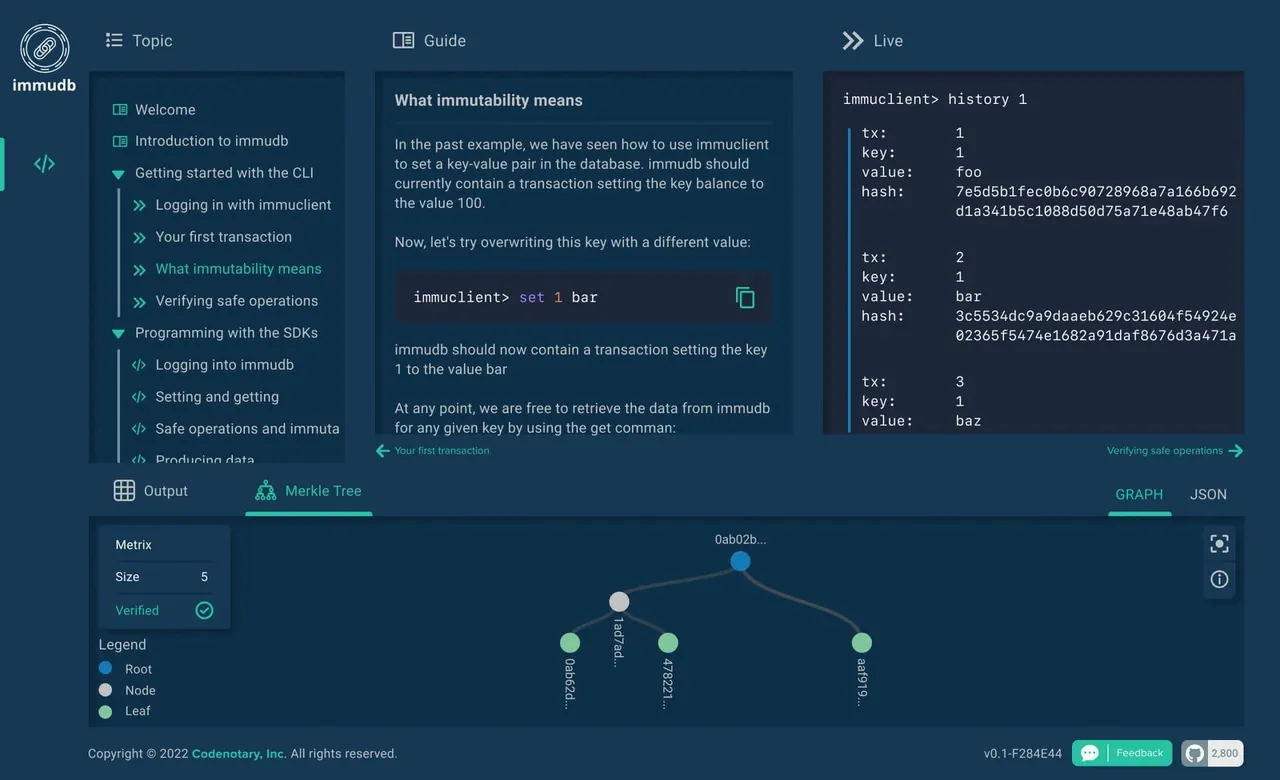 ImmuDB interface
