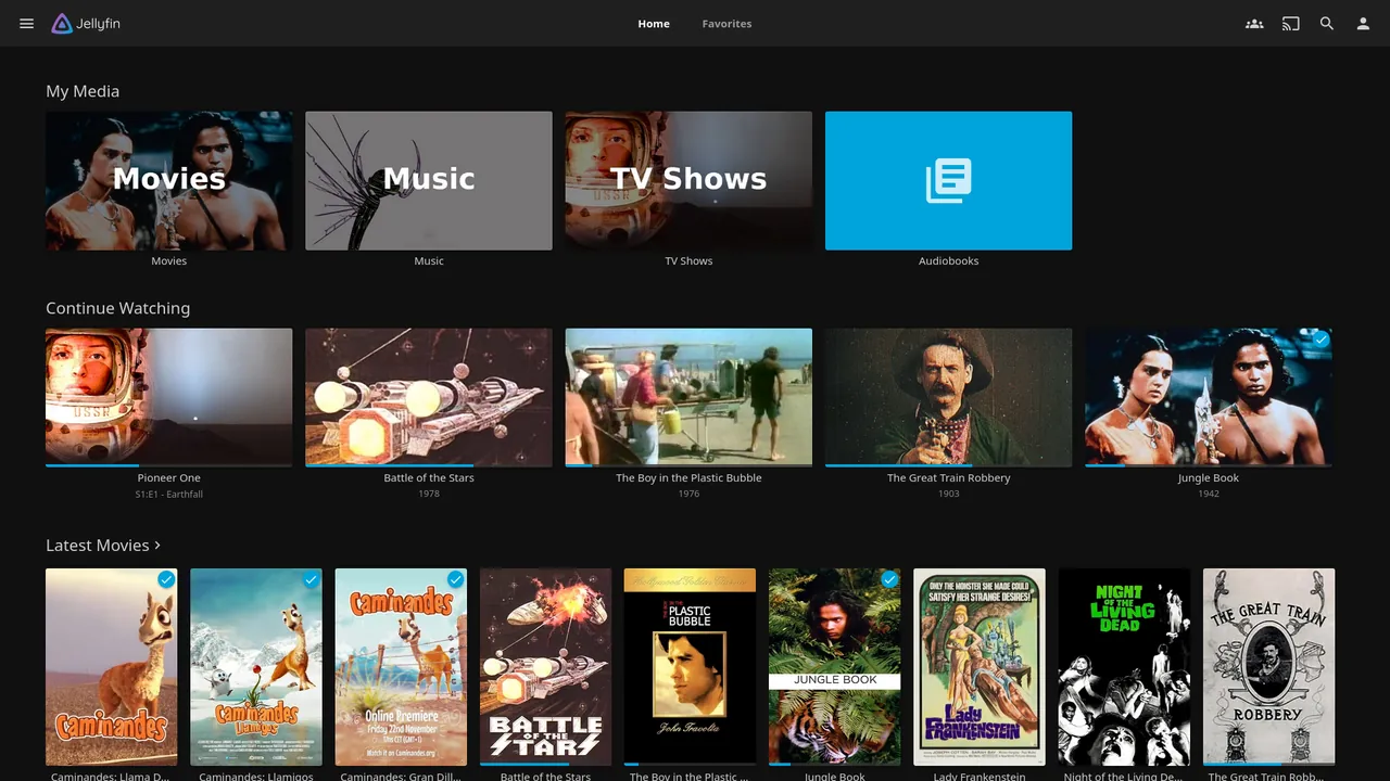 Jellyfin screenshot 2