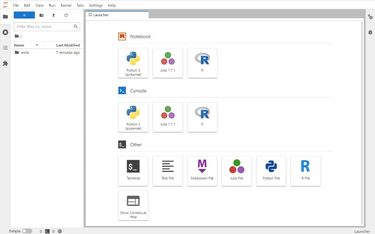Jupyter Notebook interface