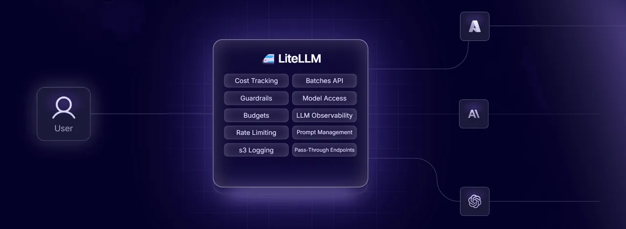 LiteLLM interface