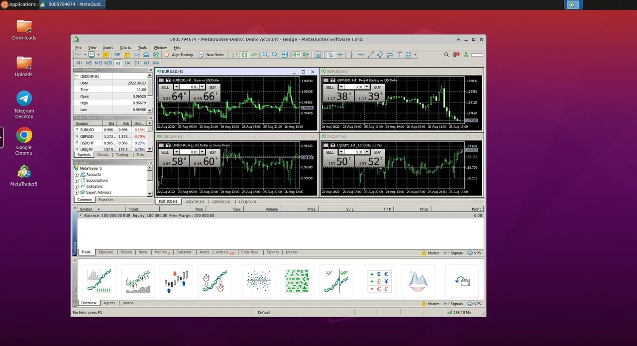 MetaTrader5 interface
