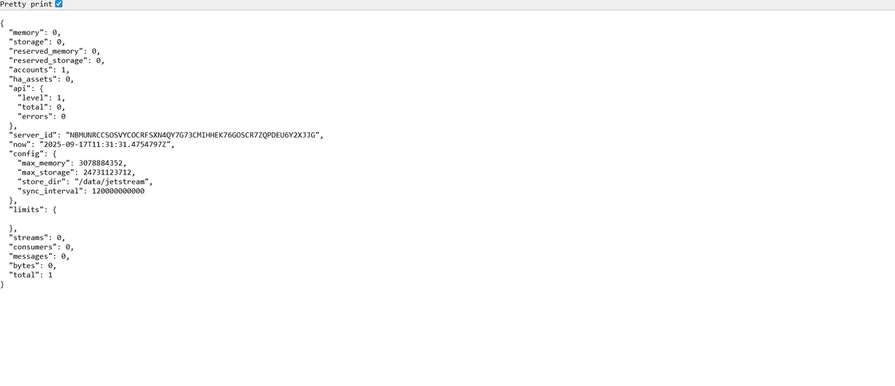 Nats interface