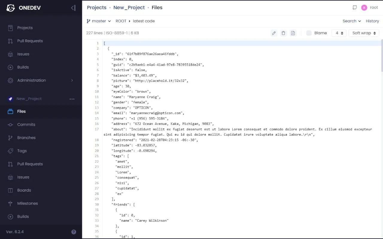 Onedev screenshot 2