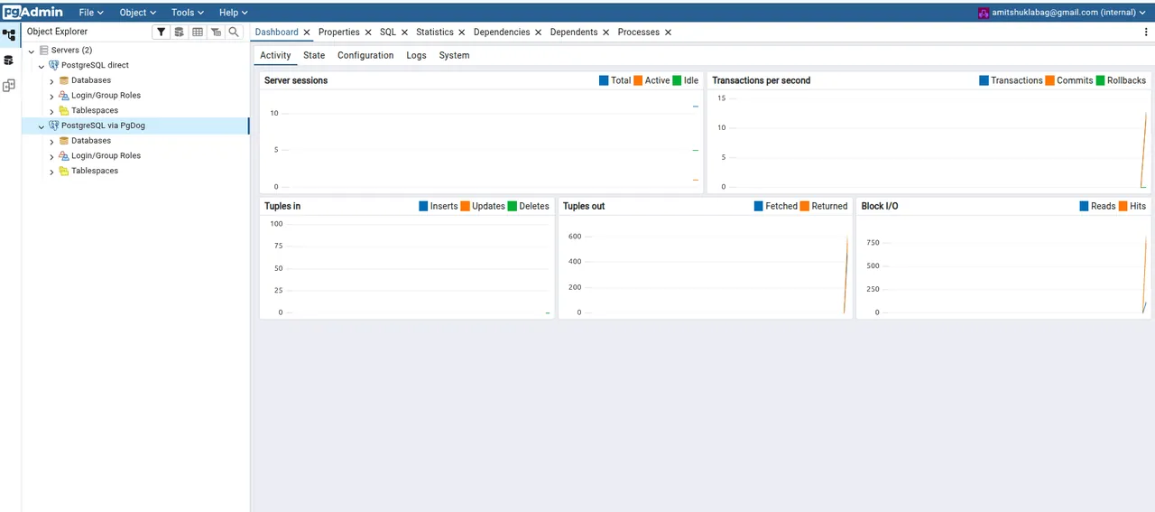 PgDog interface